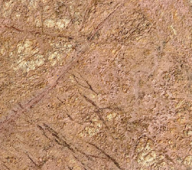 Forest Brown Marble from Largest Stone Flexible Stone Veneer Manufacturers  In India